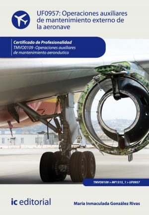 Cover of the book Operaciones auxiliares de mantenimiento externo de la aeronave by Christine Thiele Ayala, Raúl Villanueva López