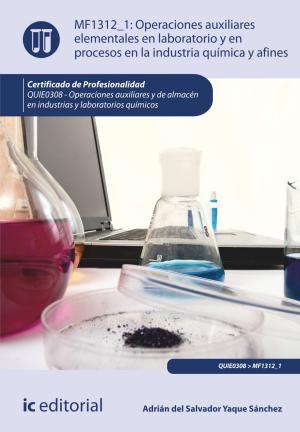 Cover of the book Operaciones auxiliares elementales en laboratorio y en procesos en la industria química y afines by David Bermúdez Luque, José Javier Bermúdez Luque