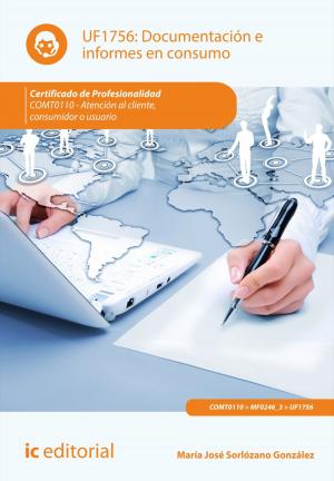 Cover of the book Documentación e informes en consumo by Bernabé Jiménez Padilla
