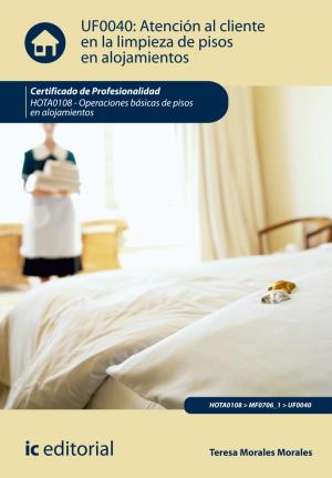 Cover of the book Atención al cliente en la limpieza de pisos en alojamientos by Christine Thiele Ayala, Raúl Villanueva López