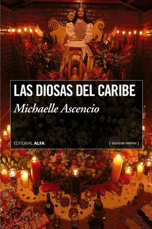 Cover of the book Las diosas del caribe by Rafael Arráiz Lucca