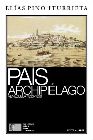 Cover of the book País archipiélago by Miguel Ángel Martínez Meucci