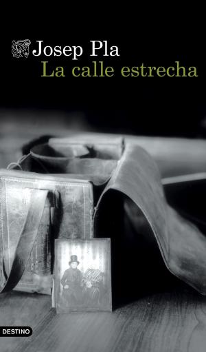 Cover of the book La Calle Estrecha by Margarita Catalina Valencia de Lleras, Paula Andrea Marín Colorado