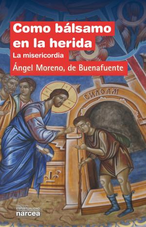Cover of the book Como bálsamo en la herida by Enrique Martínez Lozano
