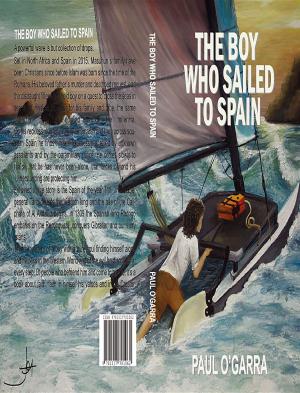 Cover of the book The Boy Who Sailed To Spain by Mark Williams, Danny Penman
