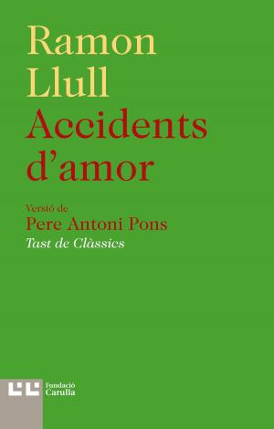 Cover of the book Accidents d'amor by Rajasekhara