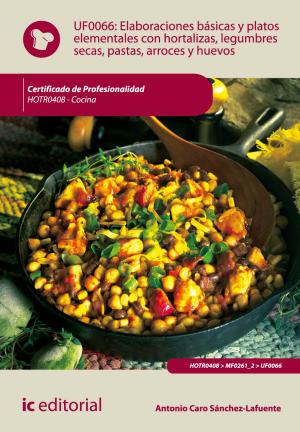 Cover of the book Elaboraciones básicas y platos elementales con hortalizas, legumbres secas, pastas, arroces y huevos by Ricardo Quintanilla Piña