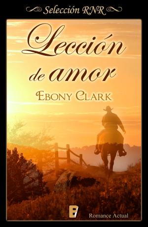 Cover of the book Lección de amor by Moni Pérez