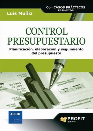Cover of the book Control presupuestario by Juan Luis Miravet Ruiz