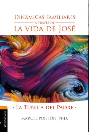 Cover of the book Dinámicas familiares a través de la vida de José by J.H. Simon
