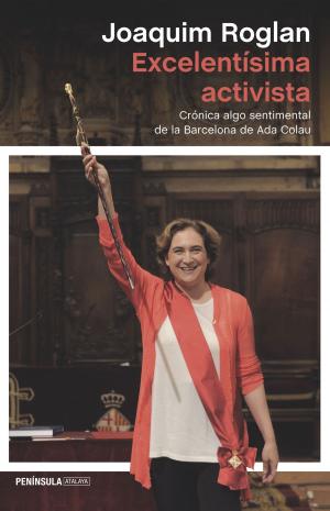 Cover of the book Excelentísima activista by David Hernando