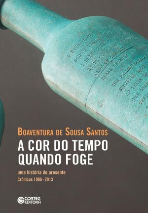 Cover of the book A cor do tempo quando foge by Francisca Eleodora Santos Severino