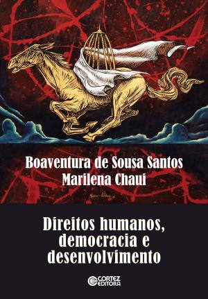 Book cover of Direitos Humanos, democracia e desenvolvimento