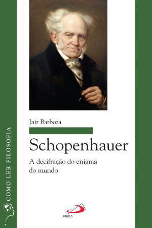 Cover of the book Schopenhauer: A decifração do enigma do mundo by Luiz Alves de Lima