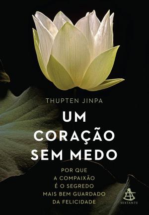 Cover of the book Um&nbsp;coração&nbsp;sem&nbsp;medo by Pedro Siqueira