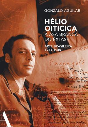 Book cover of Hélio Oiticica: a asa branca do êxtase