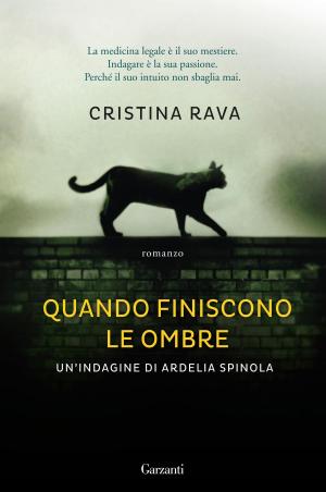 Cover of the book Quando finiscono le ombre by Madhusudan Dhakite