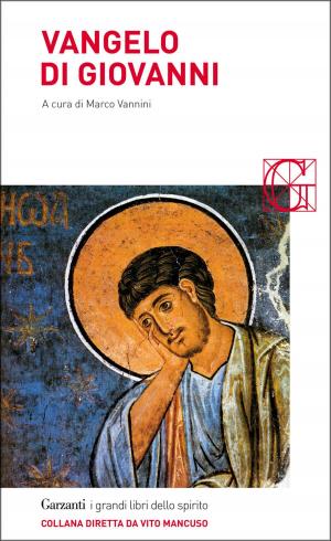 Cover of the book Vangelo di Giovanni by Rafik Schami