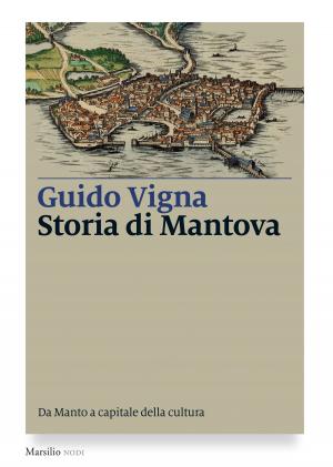Book cover of Storia di Mantova