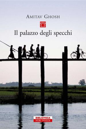 Cover of the book Il Palazzo degli specchi by Edward St Aubyn