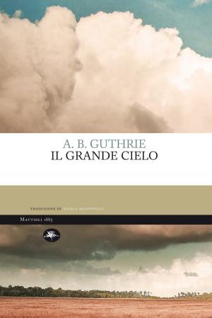 Cover of the book Il grande cielo by Virginia Woolf