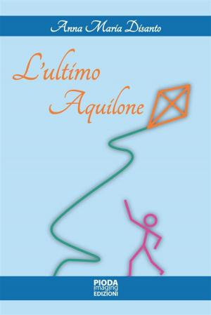 Cover of the book L'ultimo Aquilone by Emily Forbes