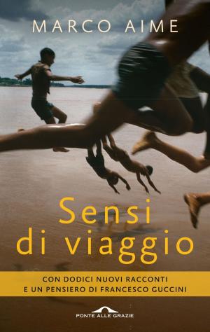 Cover of the book Sensi di viaggio by Noam Chomsky