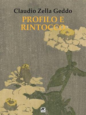 Cover of the book Profilo e rintocco by Susanna berti Franceschi