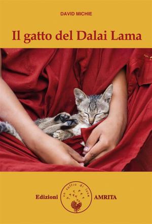 Cover of Il gatto del Dalai Lama