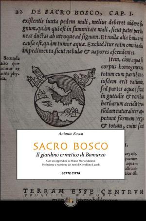 Cover of the book Sacro Bosco by Valeria Merola