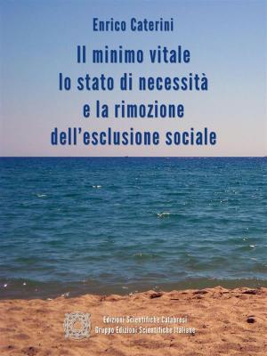 Cover of the book Il minimo vitale, lo stato di necessità e la rimozione dell’esclusione sociale by Felice Costabile, Rossella Laurendi