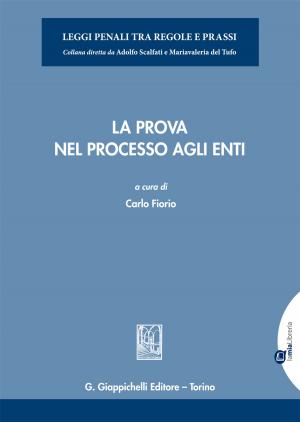 Cover of the book La prova nel processo agli enti by Alessandra De Luca
