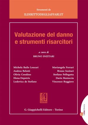 Cover of the book Valutazione del danno e strumenti risarcitori by Lorenzo Zoppoli, Raffaele De Luca Tamajo, Roberto Pessi