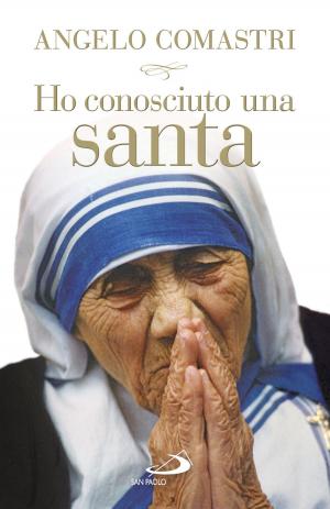 Book cover of Ho conosciuto una santa. Madre Teresa di Calcutta