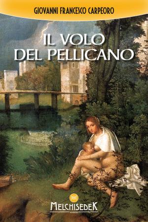 Cover of the book Il volo del pellicano by Sonia Versace