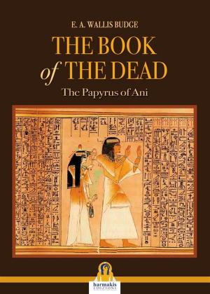 Cover of the book The book of the dead by Plutarco