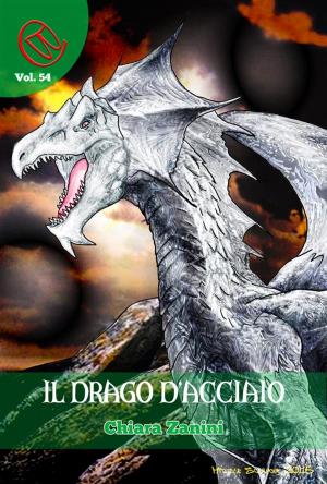 Book cover of Il Drago d'Acciaio