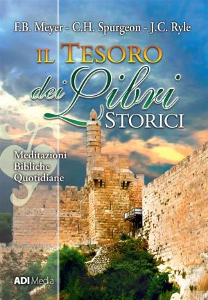 Book cover of Il Tesoro dei Libri Storici