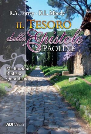 Cover of the book Il Tesoro delle Epistole Paoline by Jonathan Stephen