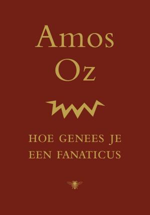 Cover of the book Hoe genees je een fanaticus by Youp van 't Hek