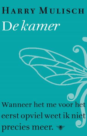 Cover of the book De kamer by David van Reybrouck