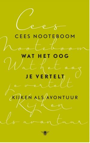 Cover of the book Wat het oog je vertelt by David Vann