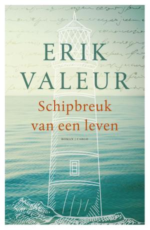 Cover of the book Schipbreuk van een leven by Édouard Louis