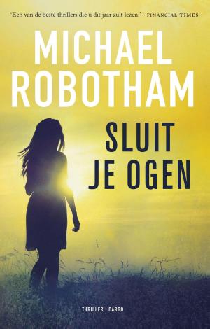 Cover of the book Sluit je ogen by Auke Kok