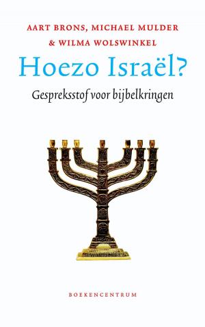 Cover of the book Hoezo Israël? by Fons Delnooz, P. Martinot