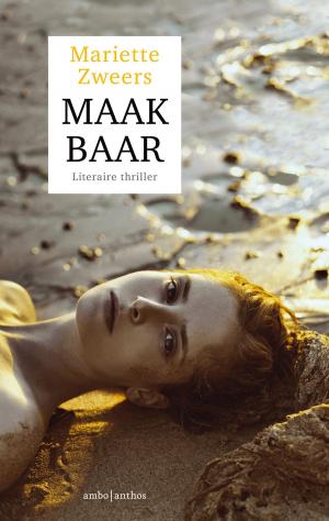Cover of the book Maakbaar by Peter R. Vergara Ramirez