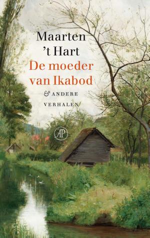 Cover of the book De moeder van Ikabod by Henning Mankell