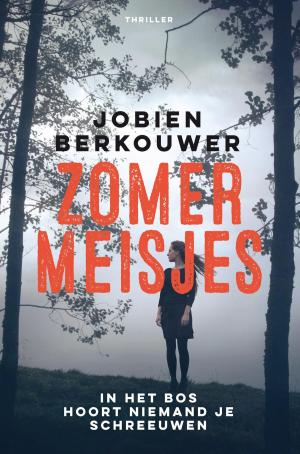 Cover of the book Zomermeisjes by olivier mesnil