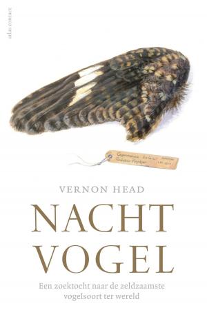 Cover of the book Nachtvogel by Harold Janssen