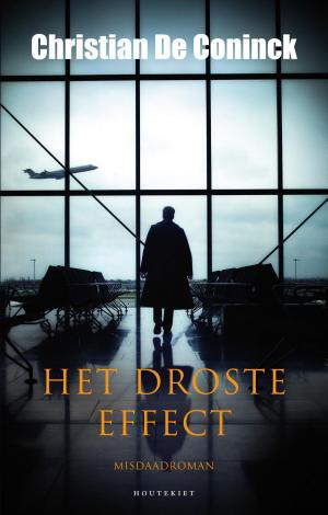 Cover of the book Het Droste-effect by Simon Petrie